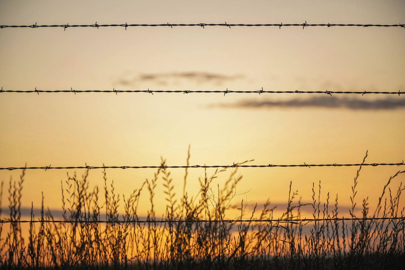 Hilos de alambre de púas sobre un cielo naranja y pastos secos al atardecer
