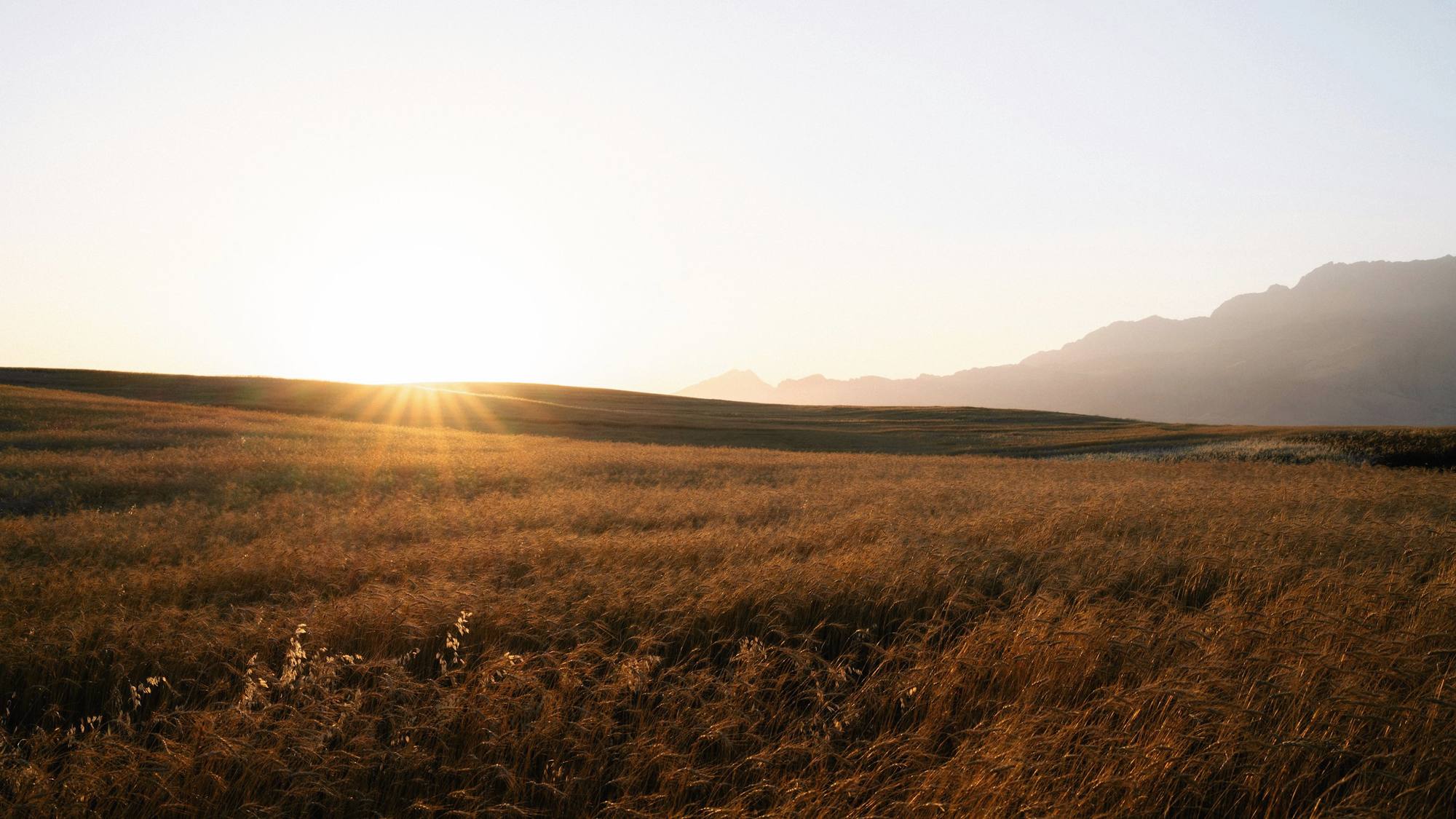 Un campo de pasto seco bajo un sol bajo, con lomas lejanas