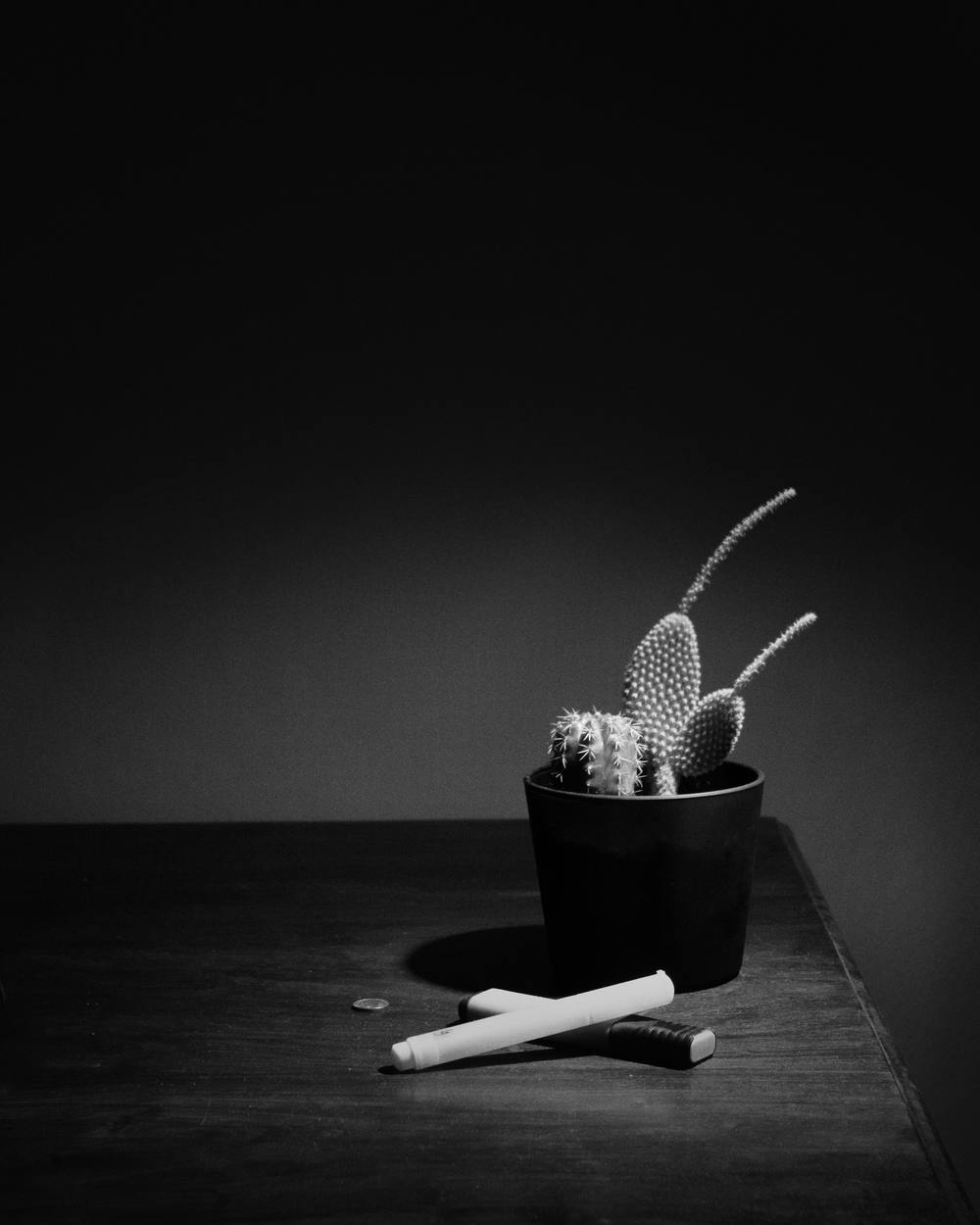 Un cactus en su maceta y un marcador sobre una mesa oscura, en blanco y negro