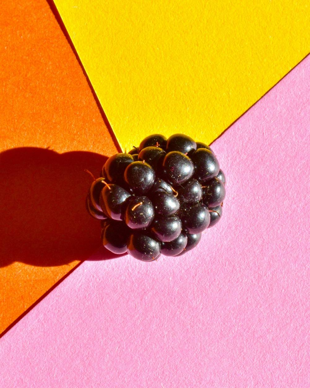 Una mora sobre papeles de color naranja, amarillo y rosa