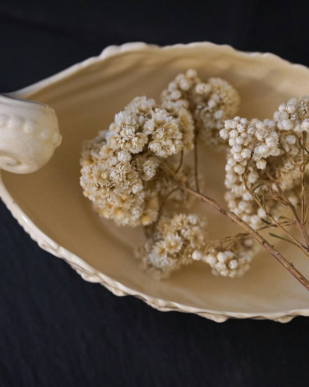 Flores secas blancas dentro de una concha crema sobre fondo oscuro