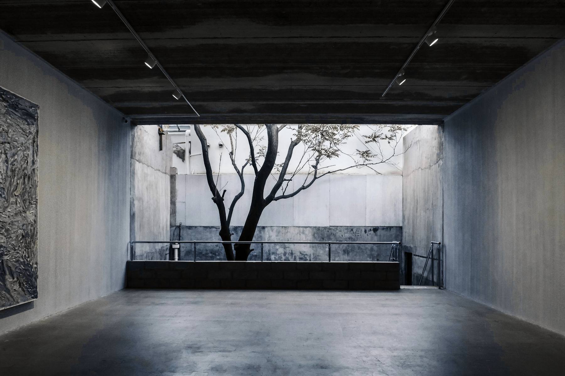 Sala larga de hormigón gris que se abre a un patio con un árbol de ramas finas