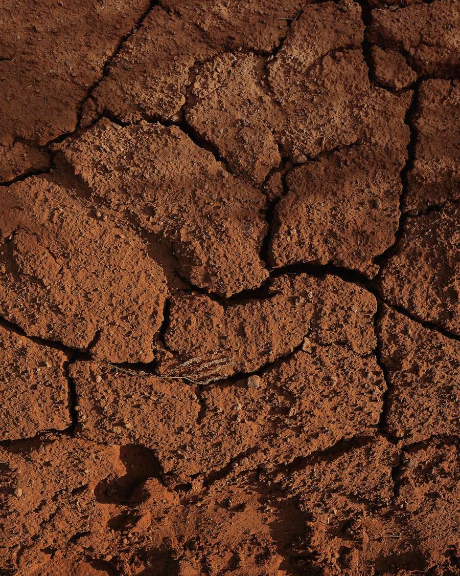 Tierra roja agrietada por la sequía