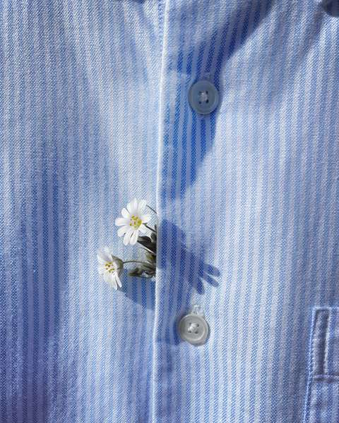 Camisa de rayas azules con una florecilla blanca asomando por el ojal