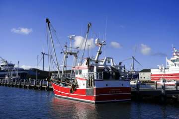 Pesquero rojo amarrado junto al muelle