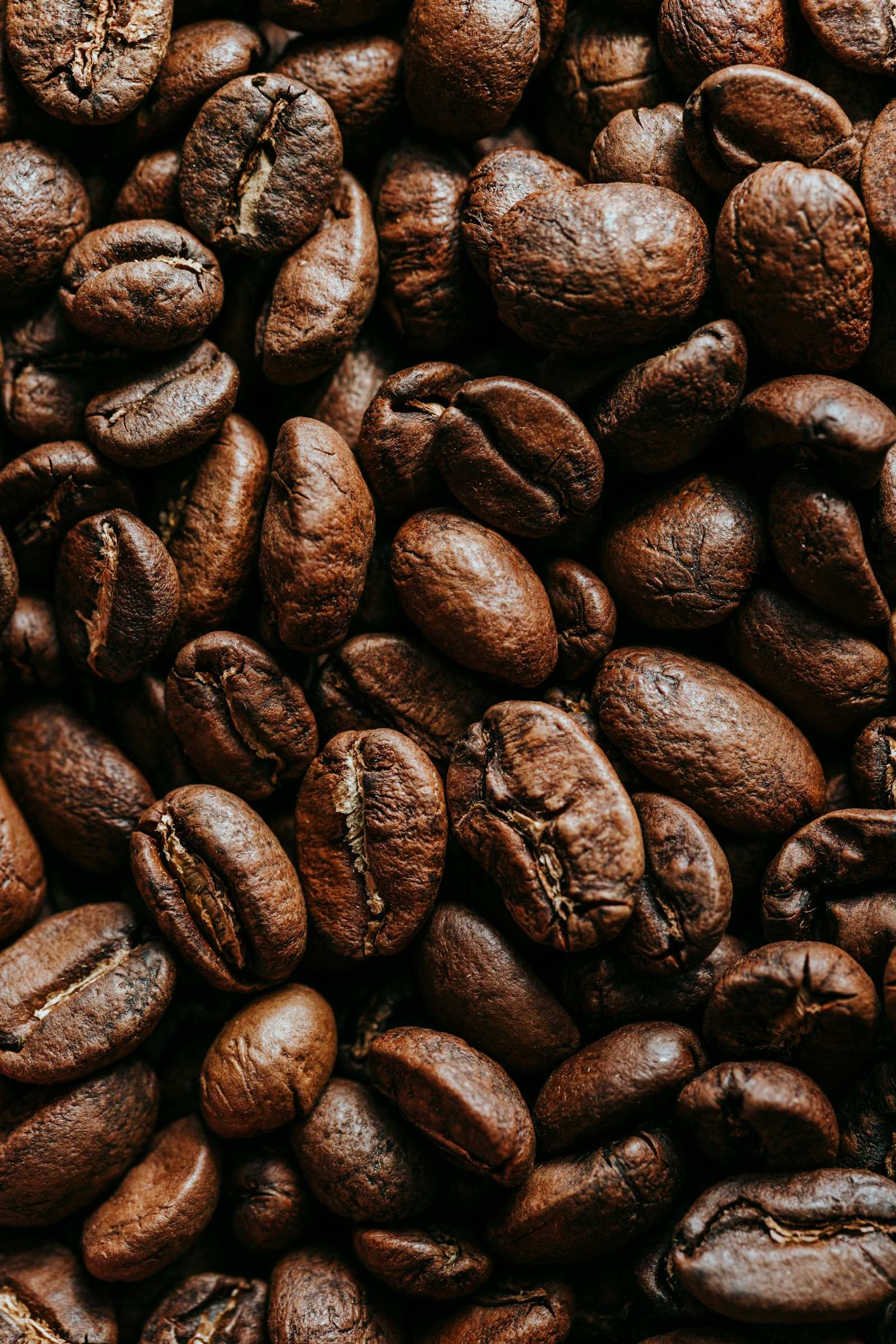 Granos de café tostados de cerca
