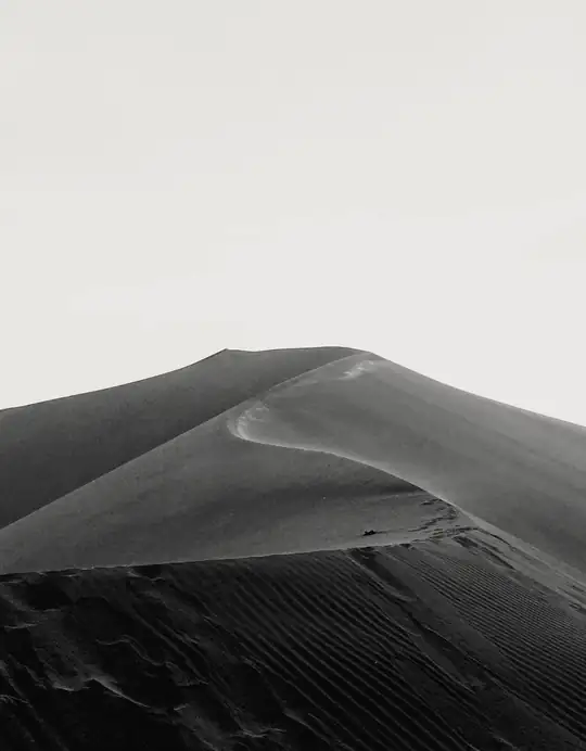 Duna en blanco y negro bajo un cielo claro