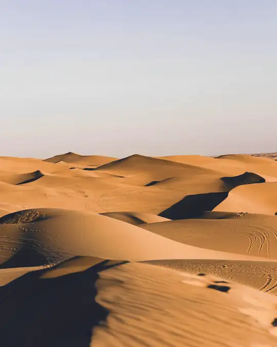 Dunas doradas bajo un cielo pálido