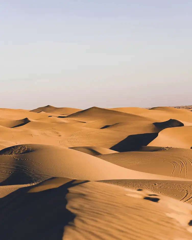 Dunas doradas bajo un cielo pálido