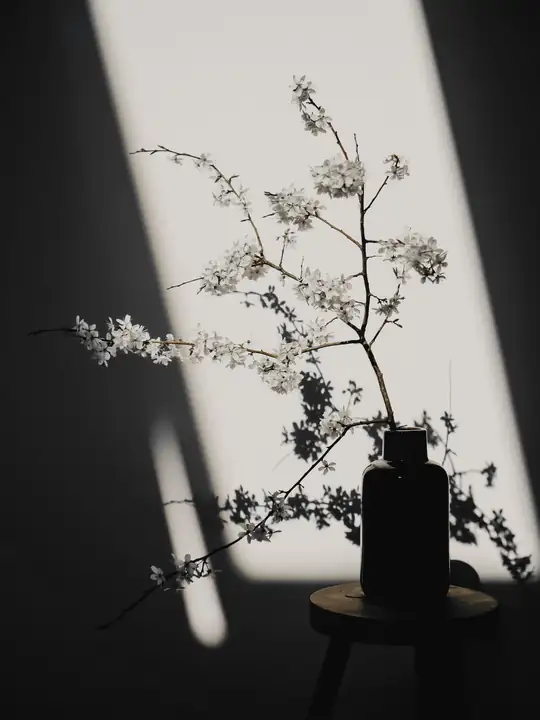 Ramas con flores blancas en un jarrón oscuro, con una franja de luz