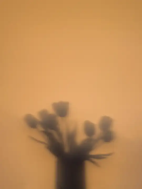Sombra de un ramo de tulipanes sobre una tela color naranja
