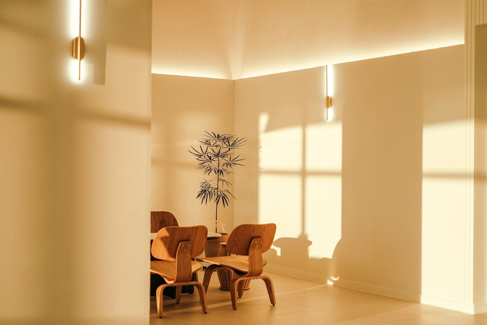Sala de espera con luz de mañana y sillas de madera
