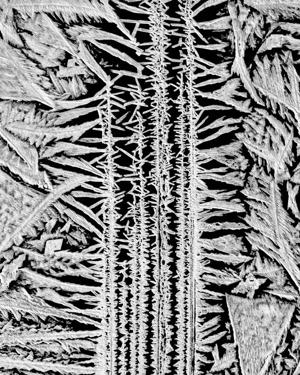 Cristales de escarcha en blanco y negro que forman una trama