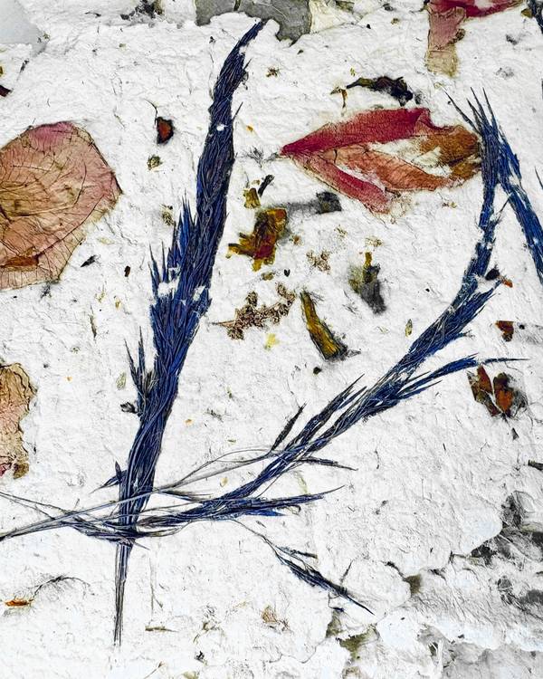 Ramas azules sobre pulpa de papel con pétalos