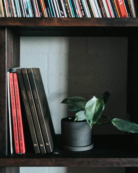 Estantería oscura con discos de vinilo, libros y una planta