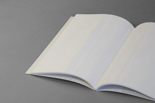 Libro blanco abierto sobre un fondo gris