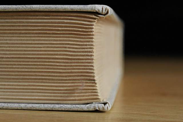 Lomo de un libro grueso con sus pliegos cosidos
