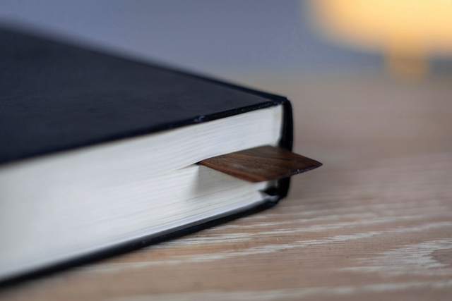 Esquina de un libro negro con un marcador de cuero
