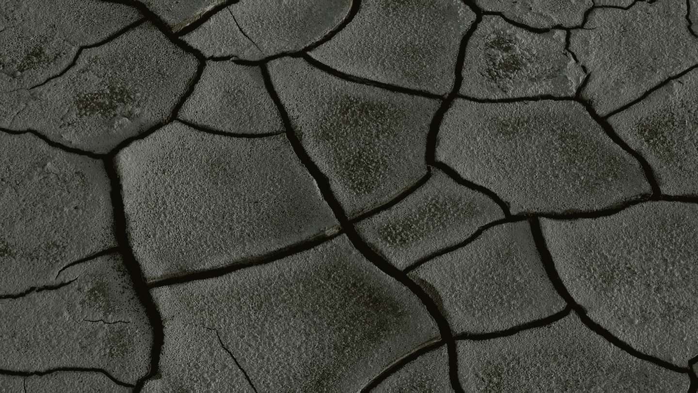Tierra seca y agrietada, vista de cerca