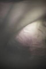 Desenfoque de rosa y malva con los bordes oscuros