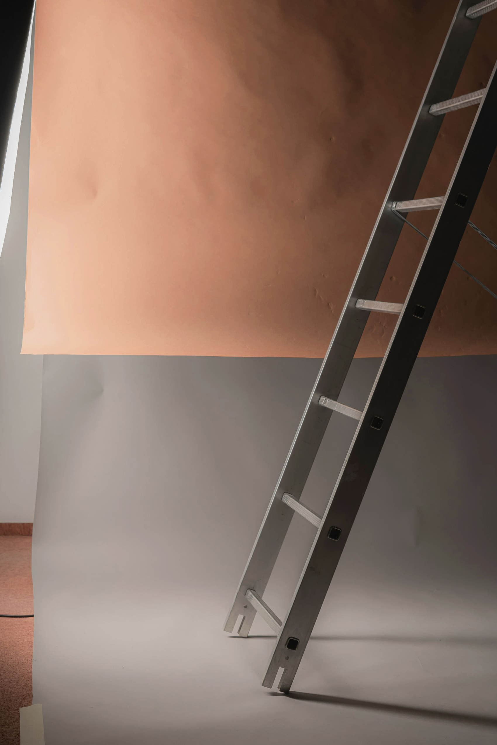 Rollos de papel de fondo, uno color tierra y otro gris, con una escalera apoyada