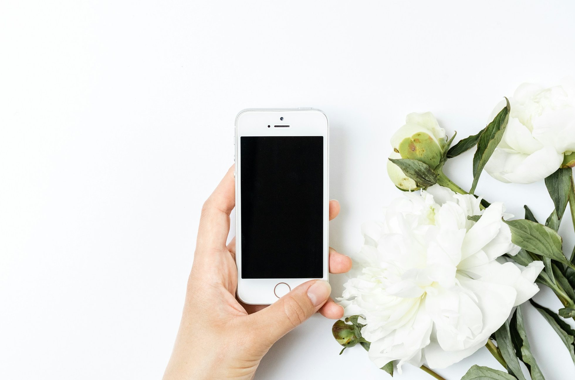 Una mano sostiene un teléfono con la pantalla apagada junto a unas peonías blancas, sobre un fondo blanco