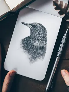Dibujo a lápiz de un pájaro sobre una libreta, entre dos manos