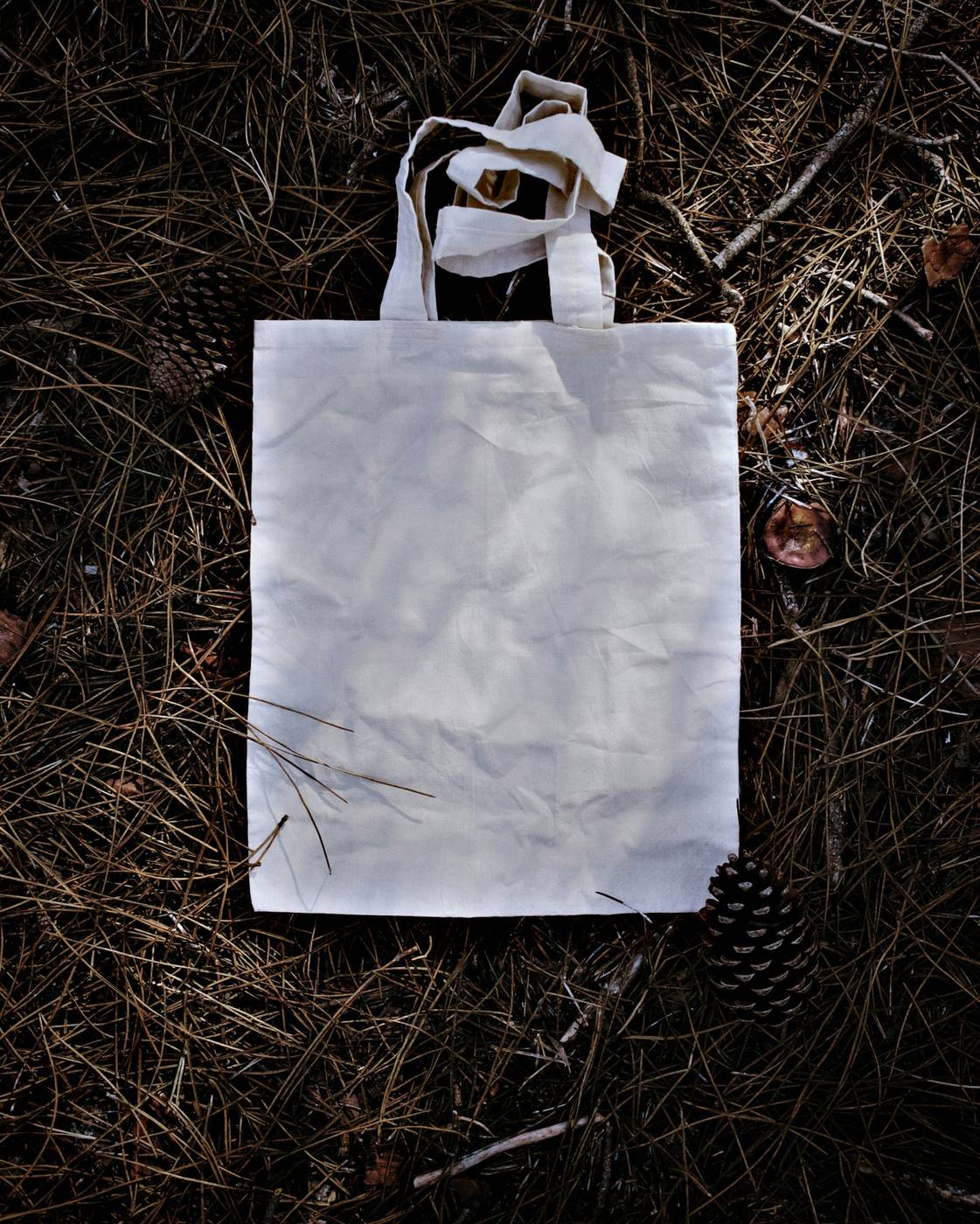 Bolsa de tela blanca sobre un suelo oscuro con piñas