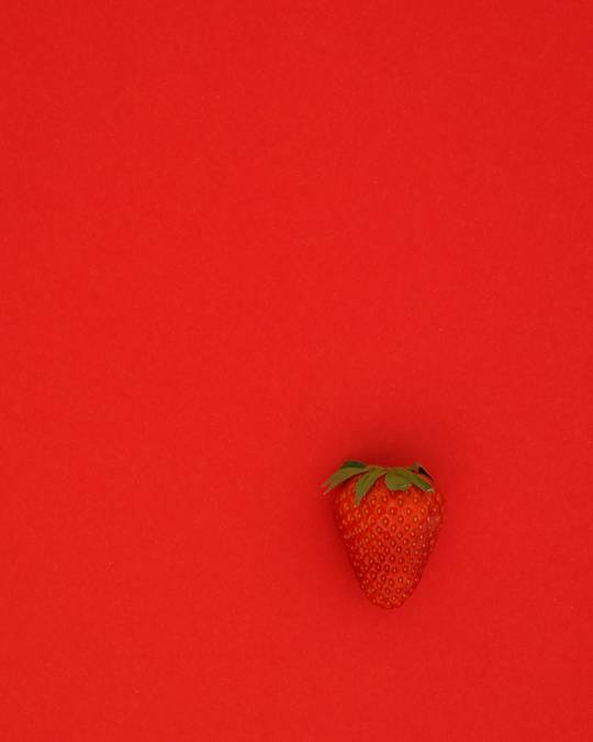 Una fresa sobre un fondo rojo