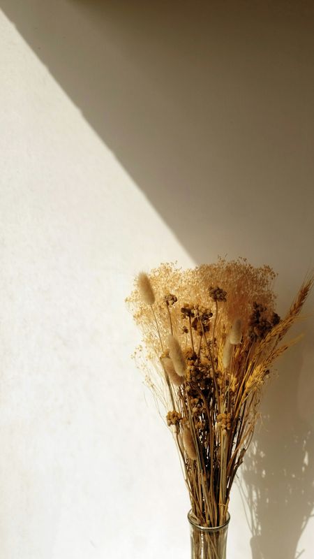 Ramo de flores secas en un jarrón de vidrio, con una diagonal de sol sobre el muro