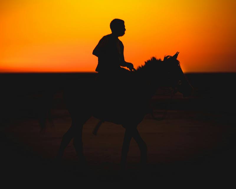 Silueta de un jinete a caballo contra un cielo naranja