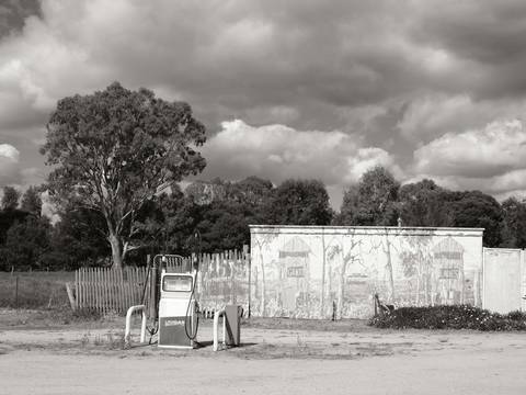 Árboles y un galpón bajo nubes cargadas, en blanco y negro