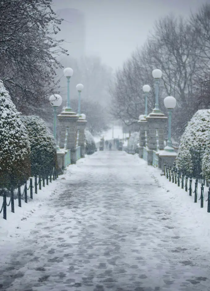 Paseo con setos recortados bajo la nieve
