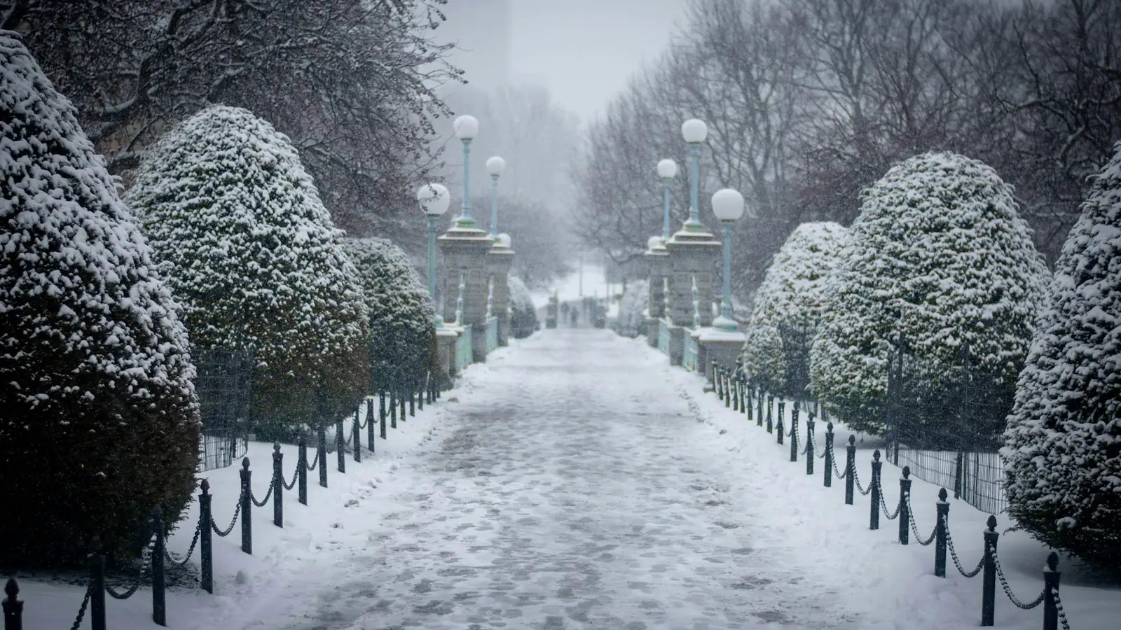 Paseo con setos recortados bajo la nieve