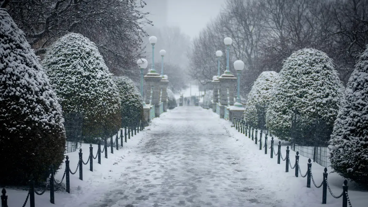 Paseo con setos recortados bajo la nieve