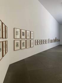 Sala larga con cuadros enmarcados en una pared blanca