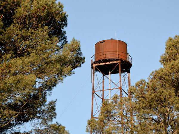 Torre de agua color óxido entre las copas de unos pinos
