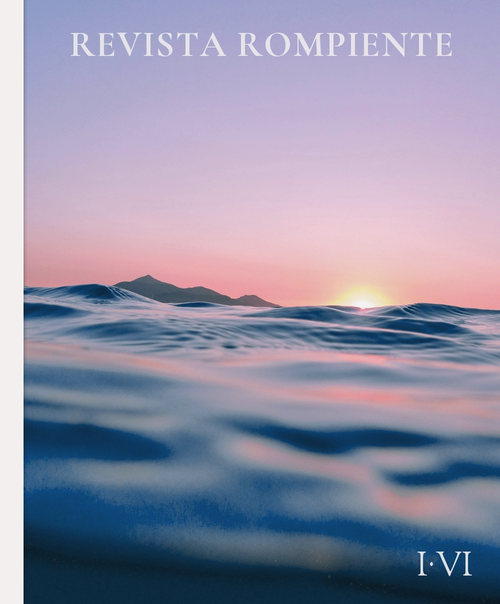 Un sol rosado que asoma sobre el horizonte visto a ras del agua, con olas azules en primer plano