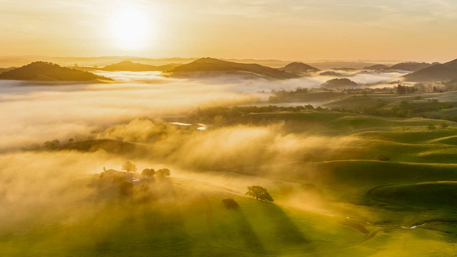 Valle con niebla dorada al amanecer
