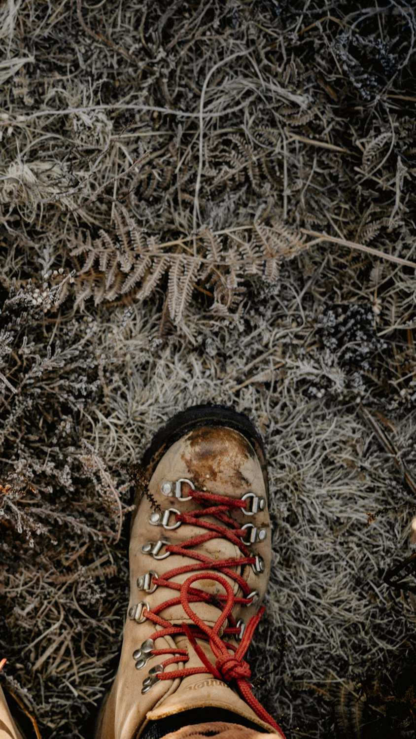 Bota con cordones rojos sobre un suelo de helechos secos