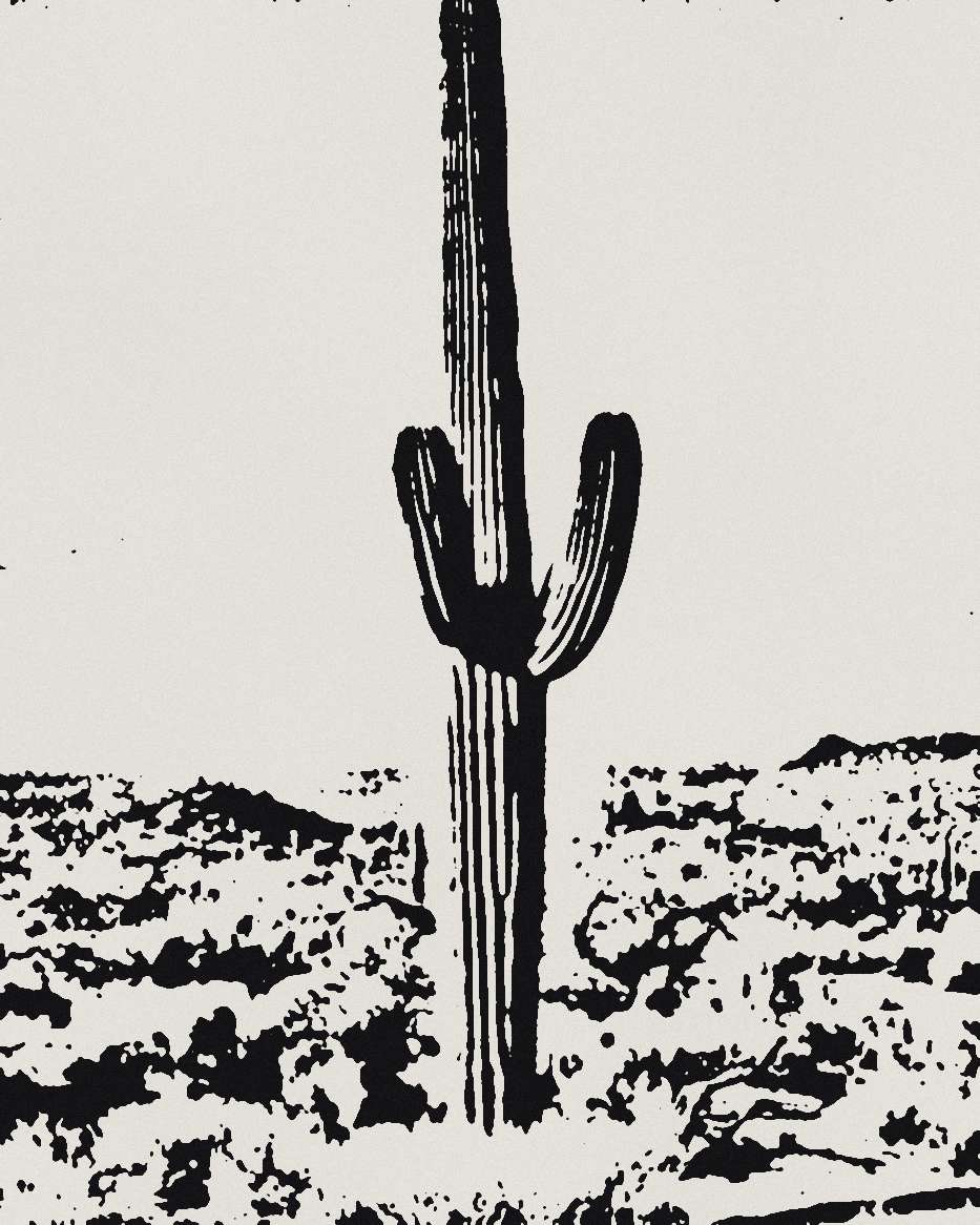 Estampa en tinta de un cactus alto en un llano