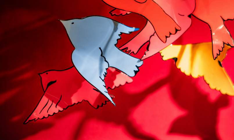 Pájaros de papel recortado, rojos y celestes, sobre un fondo rojo
