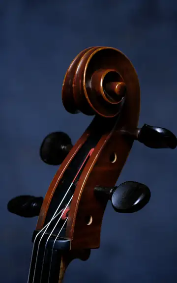 Voluta y clavijas de un violonchelo sobre un fondo azul