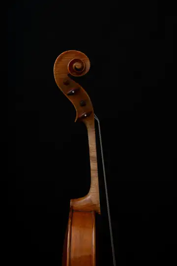 Voluta de un violín vista de perfil sobre un fondo negro