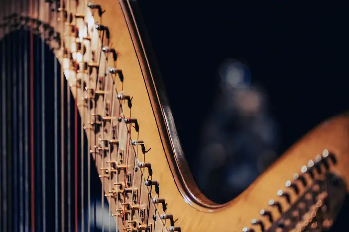 Cuello de un arpa con sus clavijas y cuerdas
