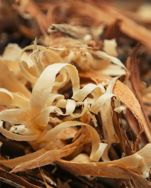 Virutas finas de madera