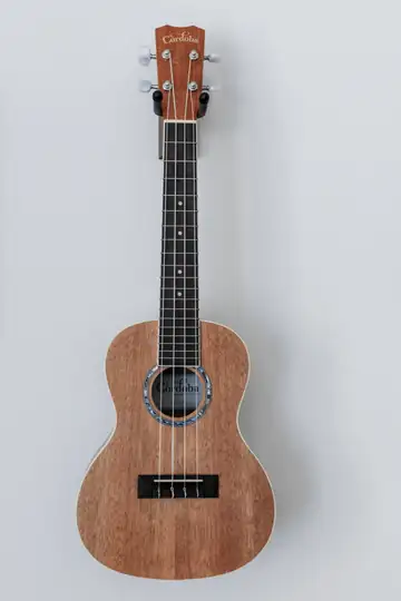 Ukelele colgado de una pared gris