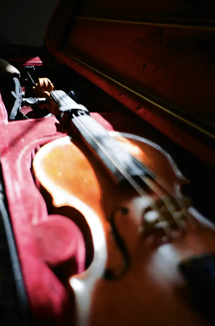 Violín dentro de su estuche, sobre terciopelo rojo