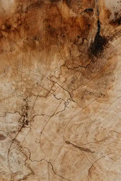 Madera con vetas y un nudo